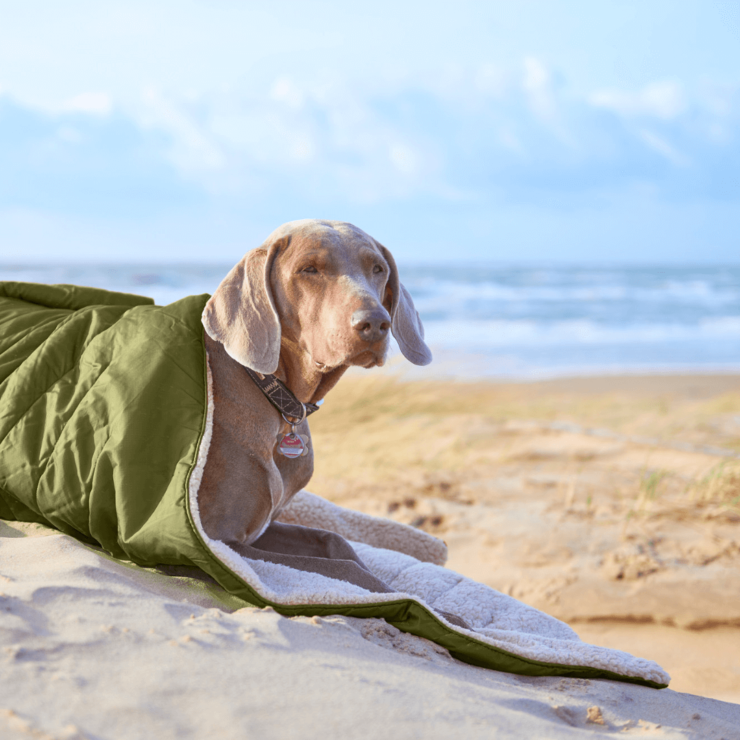 Vielseitige Outdoor Hundedecke für unterwegs