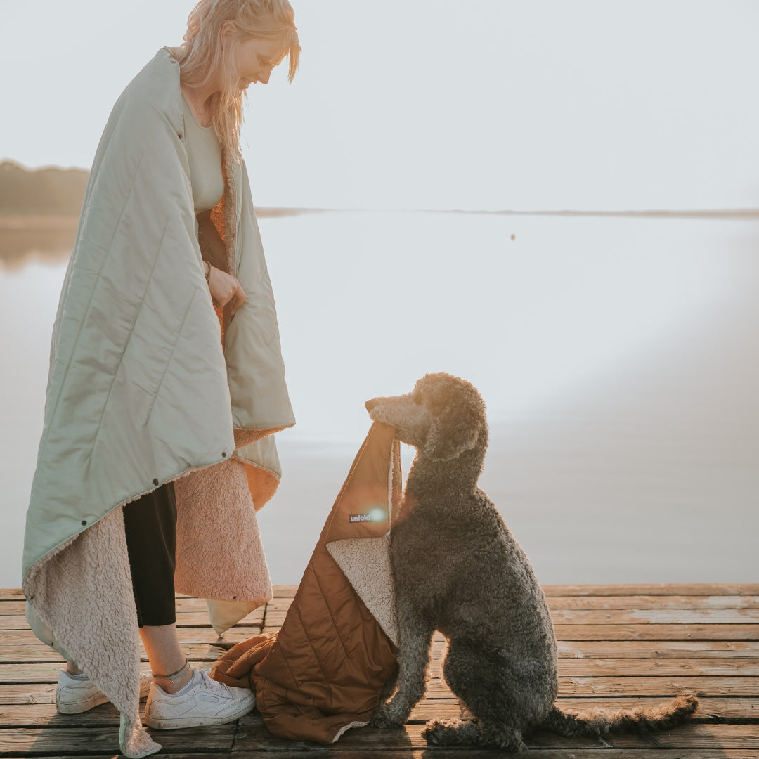 Vielseitige Outdoor Hundedecke für unterwegs