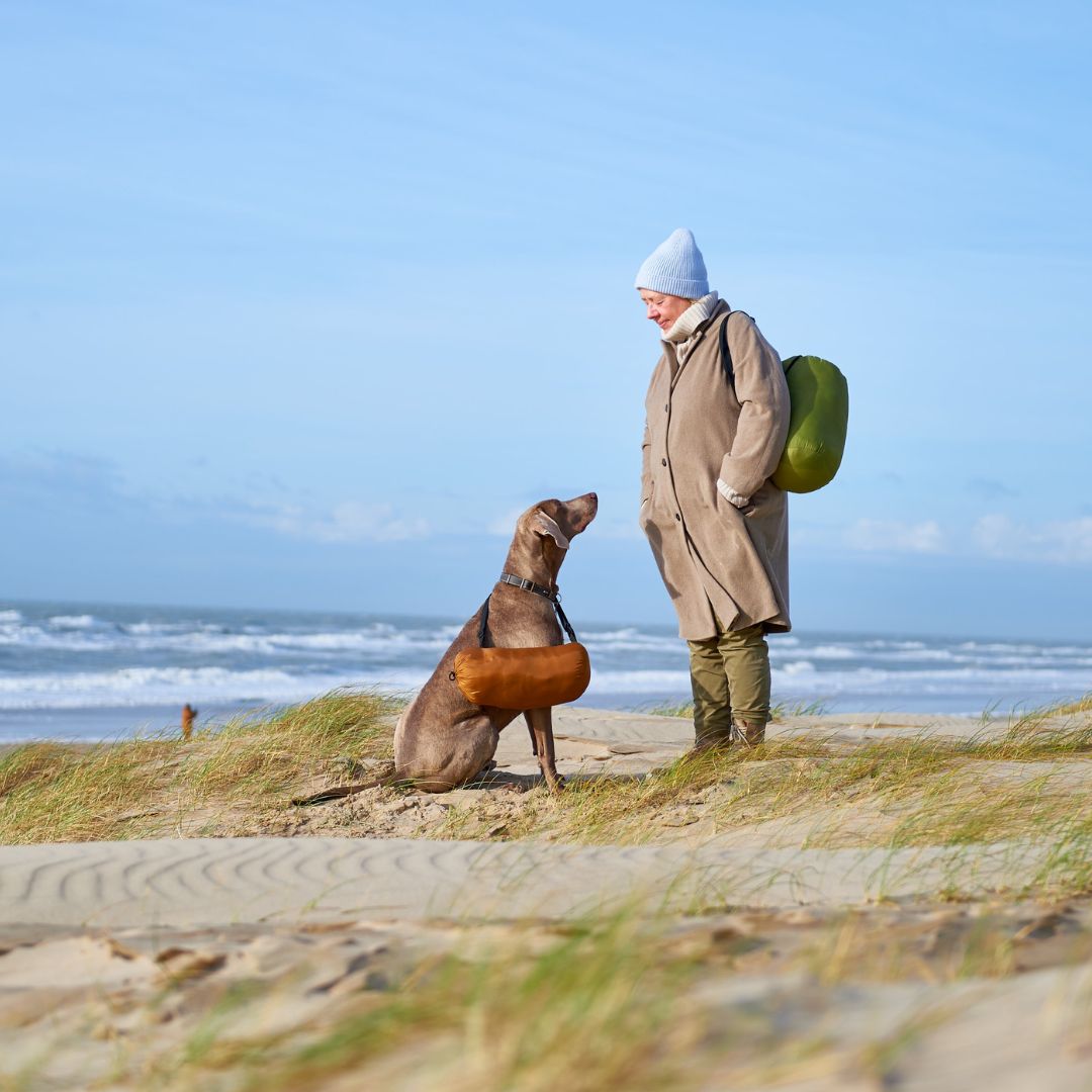 Hunde Herrchen Bundle